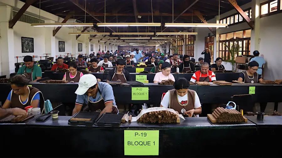 54.jpg