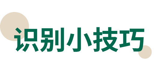 14.png