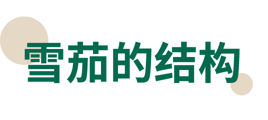 41.png