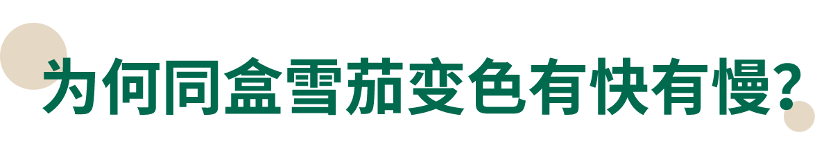 42.png