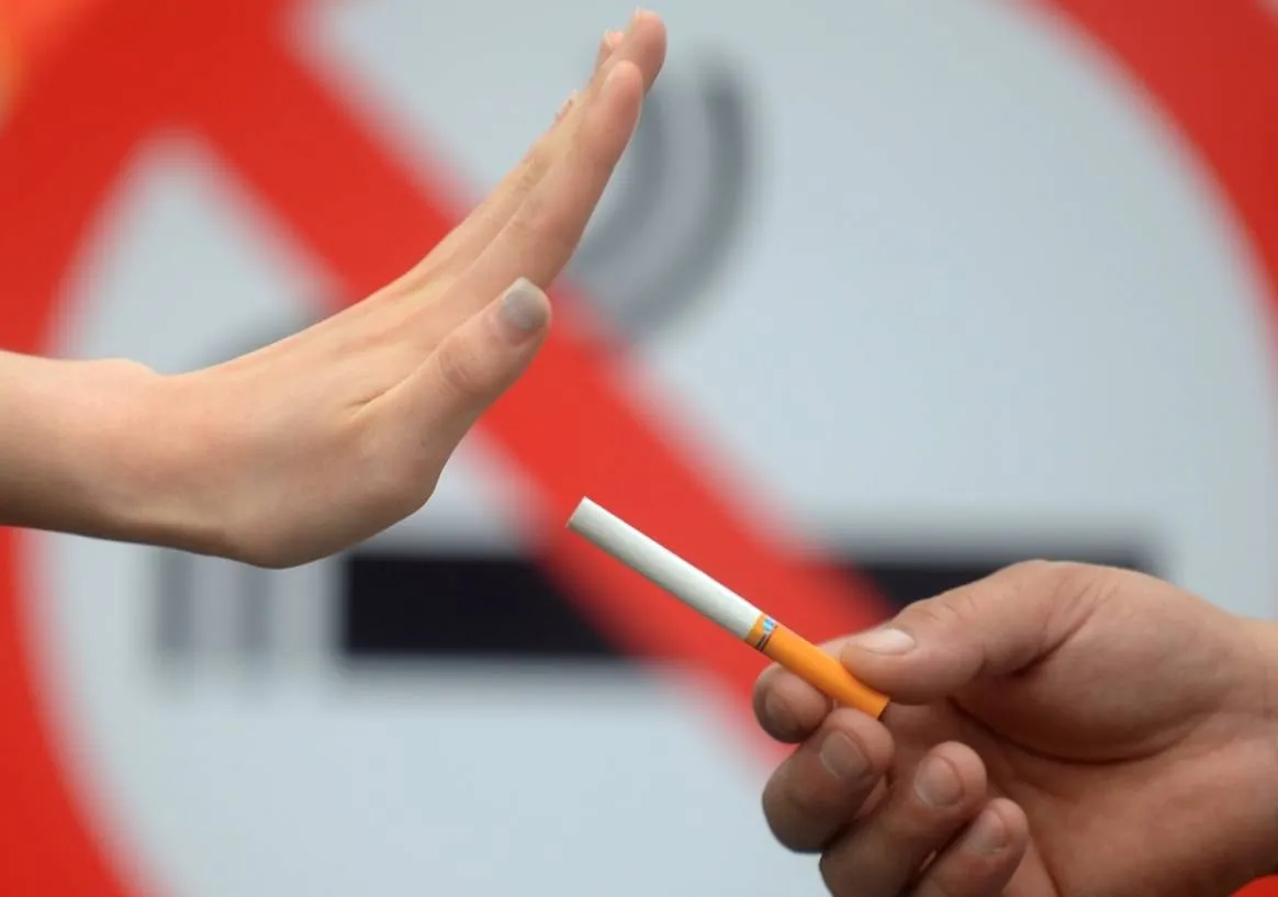 1763090865852579.png 44.png