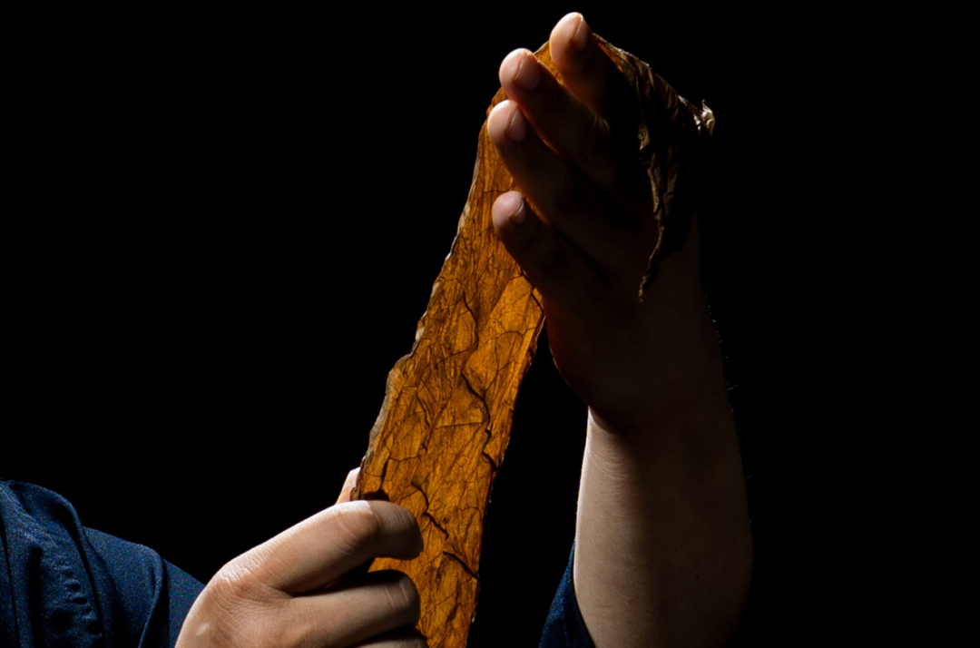 1764059356803787.png 15.png