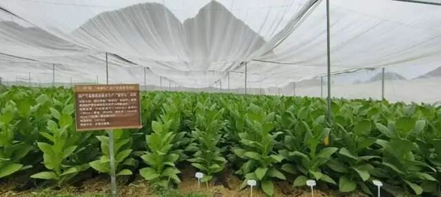 1764059373191877.jpg 14.jpg