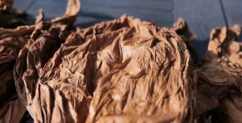 1764059387487122.jpg 13.jpg