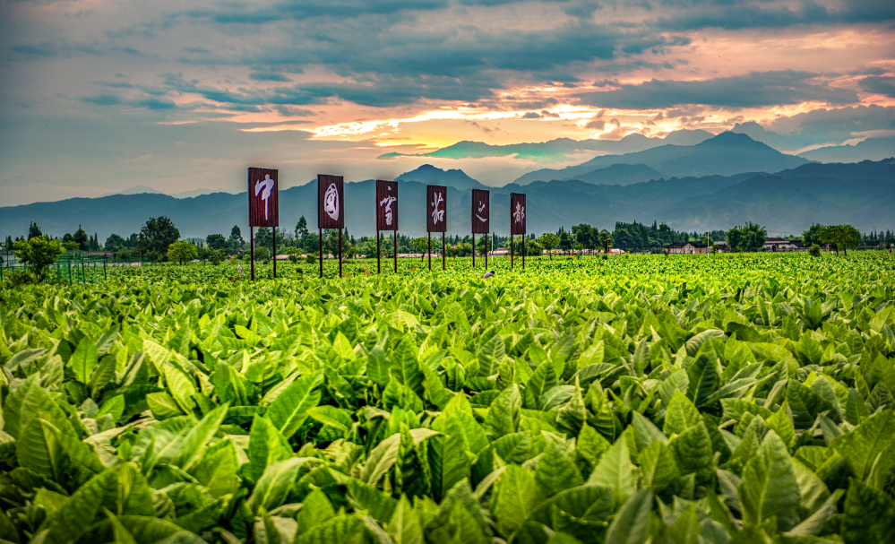 1764059435698680.png 11.png