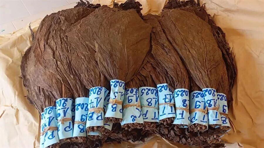 1764571040356236.jpg 11.jpg