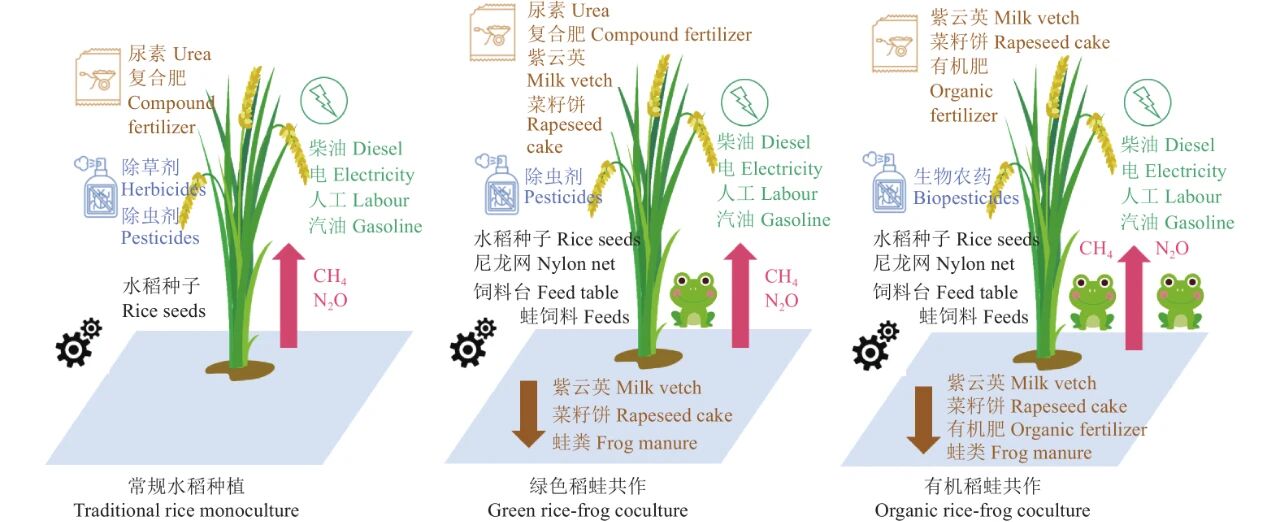 1764730933366819.jpg 219.jpg