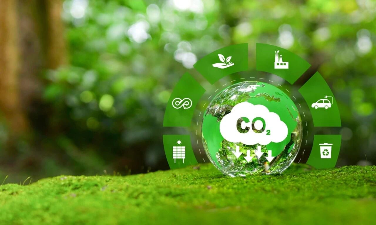 1764730970745431.jpg 216.jpg