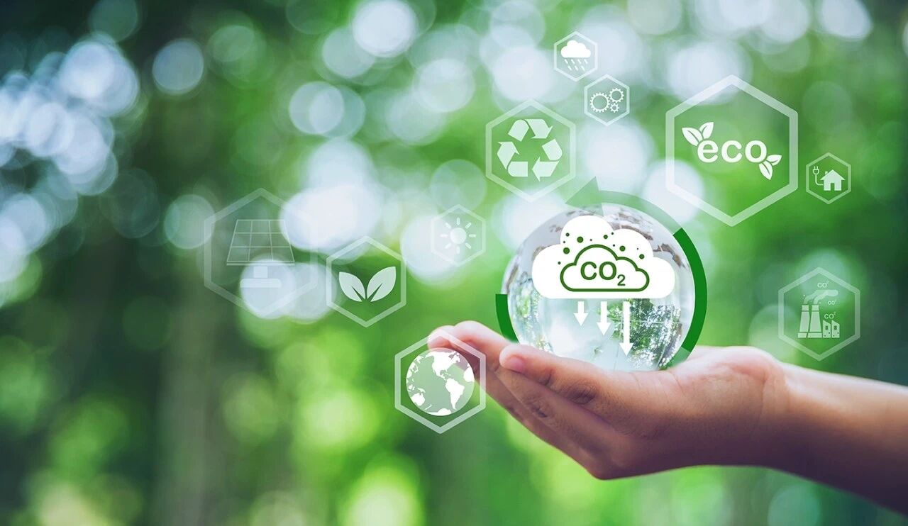 1764731002743628.jpg 215.jpg