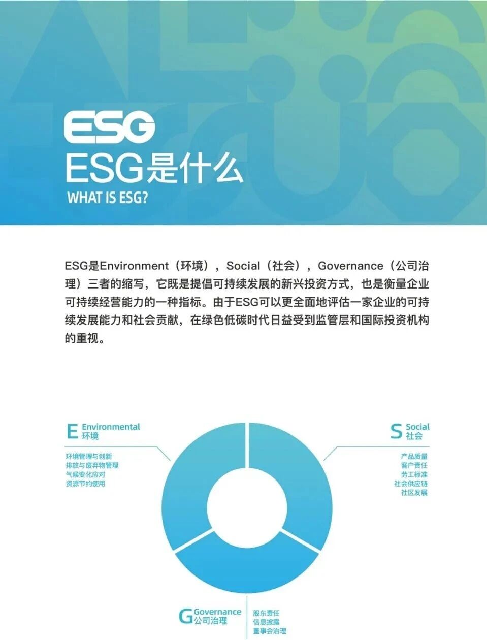 1764731117254198.jpg 22.jpg