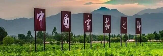 1764818387334859.jpg 11.jpg