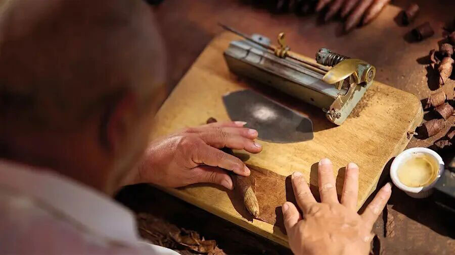 1765182078332364.jpg 33.jpg